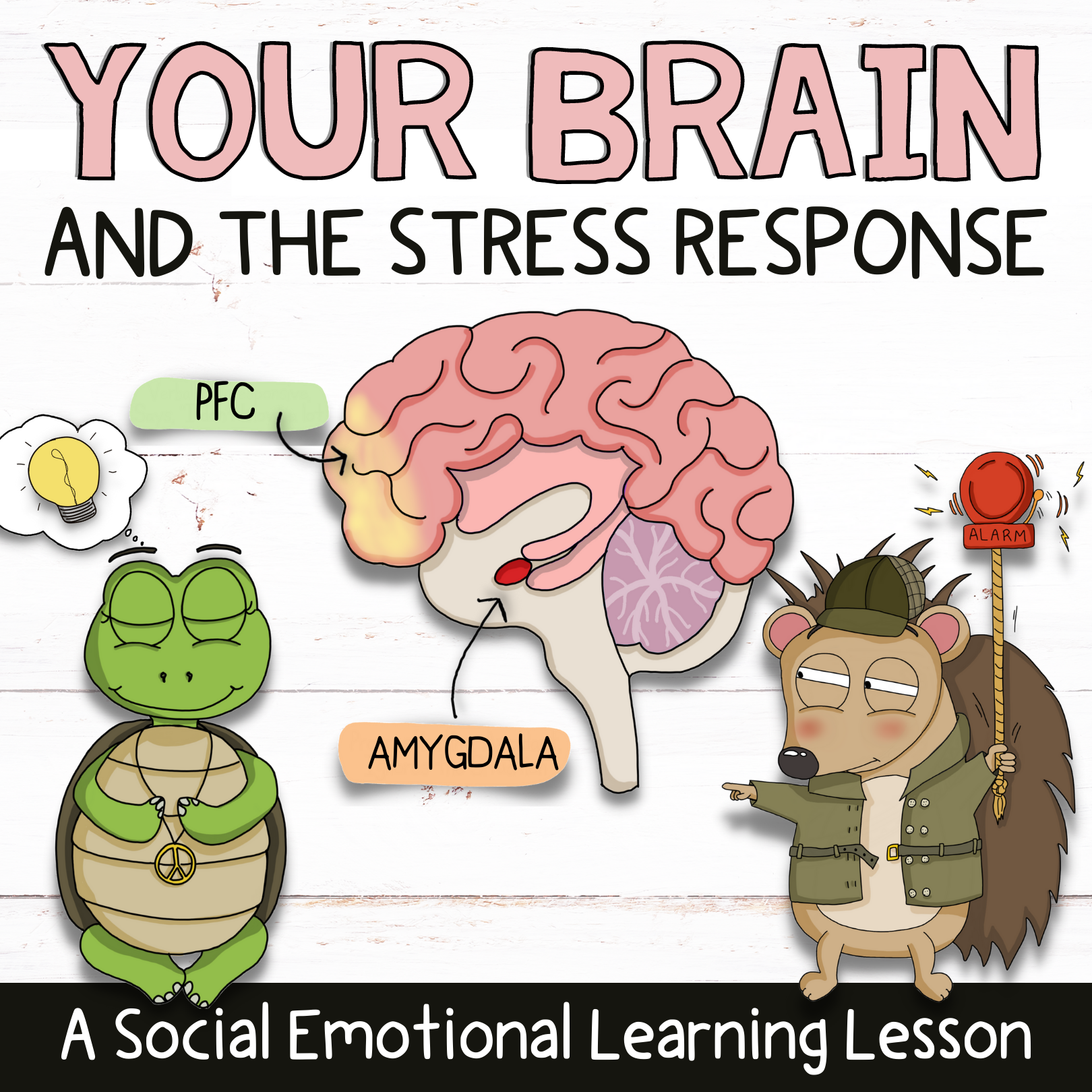 The Brain and Stress Response Social Emotional Learning Lesson