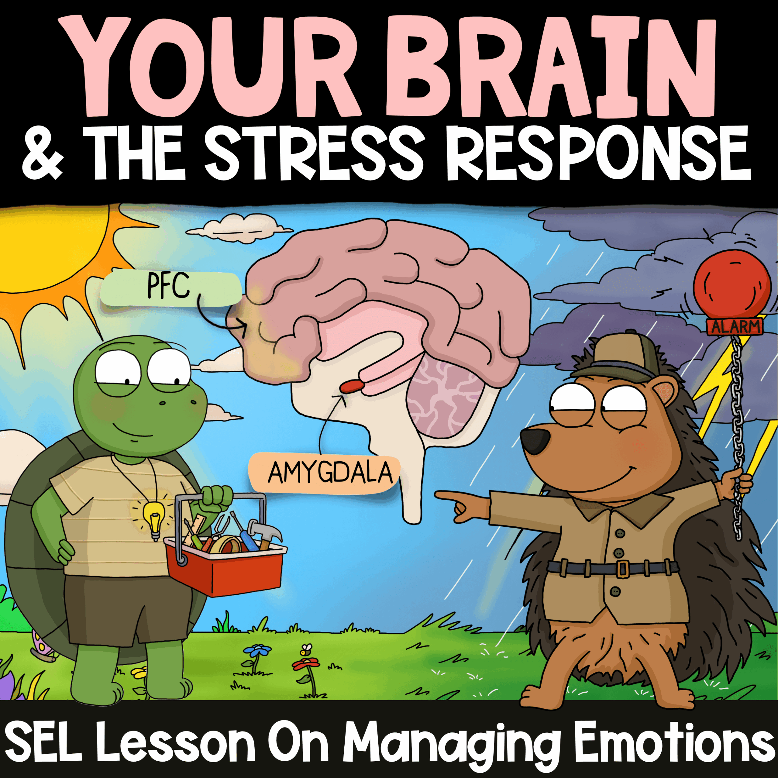 Brain Stress Response Flipping Lid SEL Anxiety Management Animated Video of Thoughtful Turtle and Protective Porcupine Lesson about the Stress Reponse